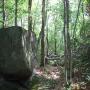 ./10_photos/2010-08-01 15.55.56.jpg